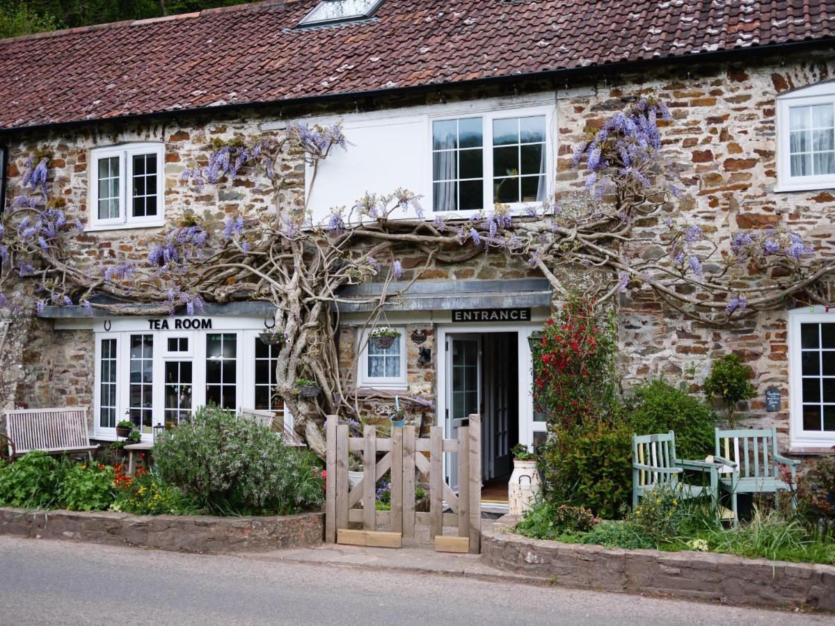 The Bark House Bed & Breakfast Oakford ภายนอก รูปภาพ